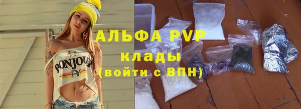 шишки Коряжма