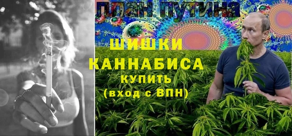 шишки Коряжма