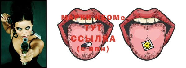 шишки Коряжма