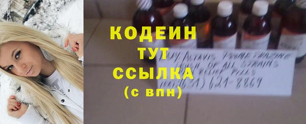 шишки Коряжма