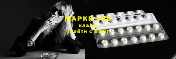 шишки Коряжма