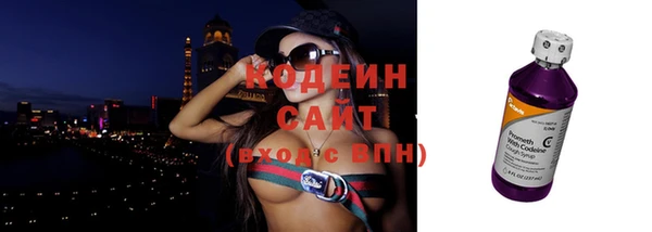 шишки Коряжма