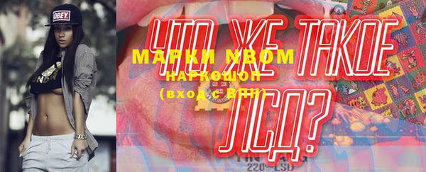 шишки Коряжма