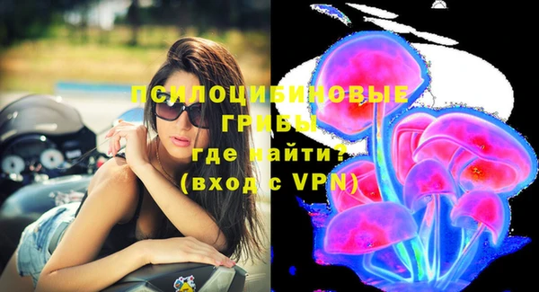 шишки Коряжма