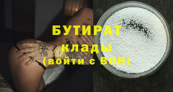 шишки Коряжма