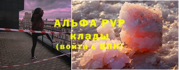шишки Коряжма